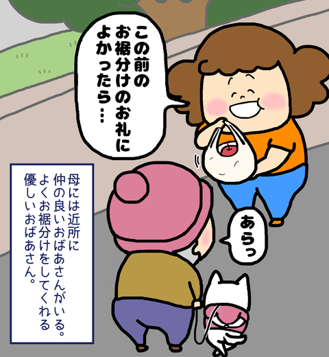 お裾分けをしてくれる近所のおばあさんにお礼を渡す母