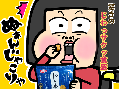 新食感な“亀田製菓”の“じわ揚”