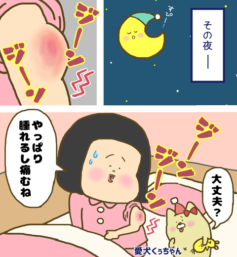 インフルエンザ予防接種後の痛みと腫れ