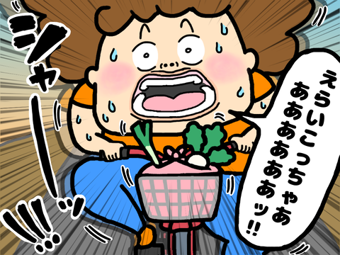 必死で自転車を漕ぐ母