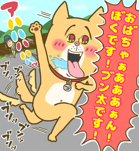 駆け寄る近所の犬ブンちゃん