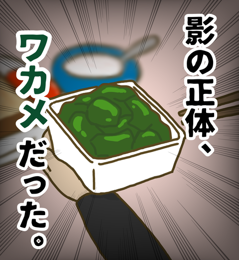 影の正体ワカメだった