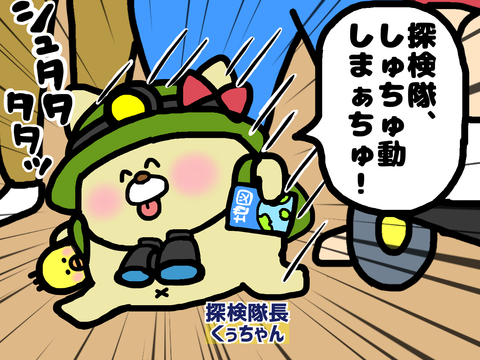 チワワ探検隊長