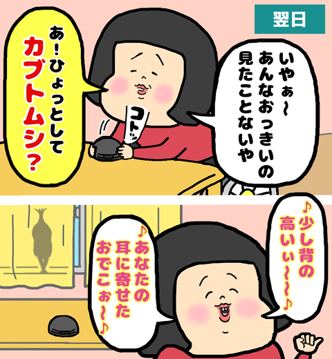 翌日、カブトムシかもしれないとカブトムシを歌い始める私