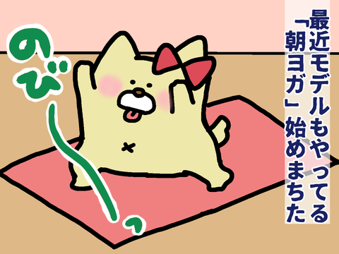 朝ヨガをするチワワ犬