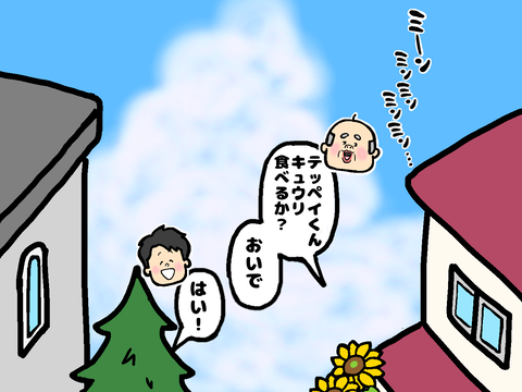 キュウリを食べさせたいおテイさん