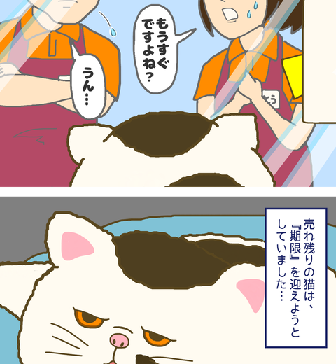 ドラマ『おじさまと猫』ペットショップで期限を迎える『ふくまる』