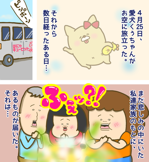 愛犬が旅立って悲しい私達のもとに