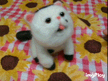 ドラマ『おじさまと猫』のふくまるの羊毛フェルト