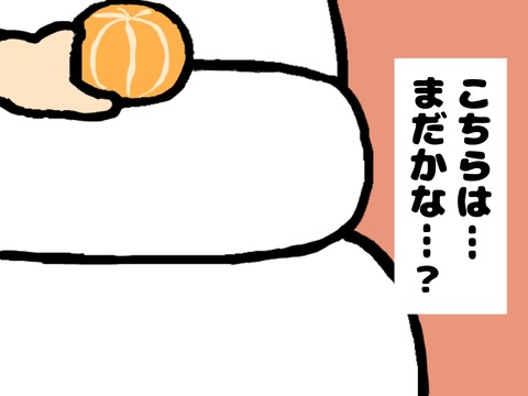 20190114_2014_24905
