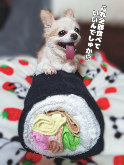 節分の日の手作りタオル太巻きとわんこ