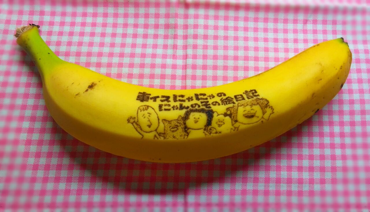 食べれる芸術 針で描く バナナアート に初挑戦 車イスにゃにゃのにゃんのその絵日記 食べれる芸術 針で描く バナナアート に初挑戦 車イスにゃにゃのにゃんのその絵日記