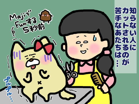 トリミング緊張する犬