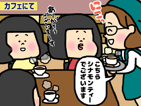 シナモンスティックの使い方