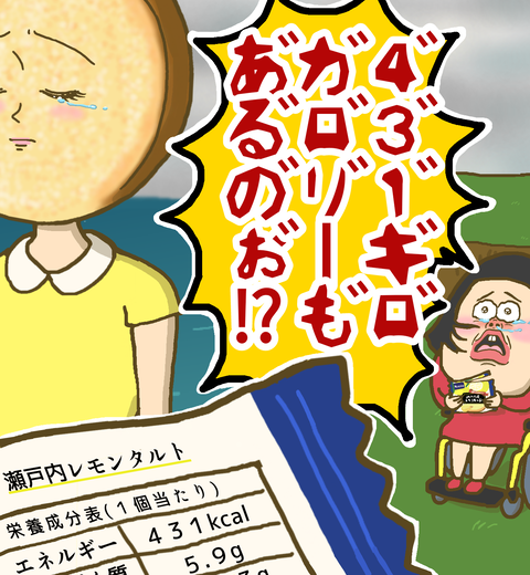 431キロカロリーの瀬戸内レモンタルト
