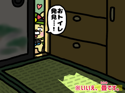 チワワ探検隊長