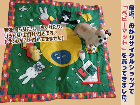 リサイクルショップで買ったベビーマット