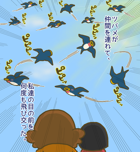 仲間を連れて目の前を飛び交うツバメ