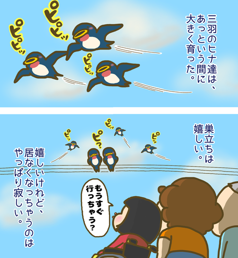 成長した雛鳥