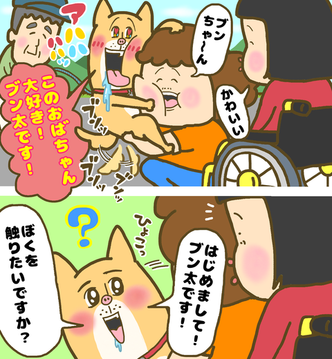 誰にでも懐く近所の犬ブンちゃん