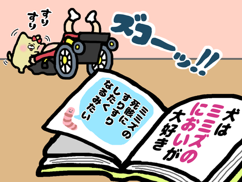 2-5私をすりすりするホントの理由