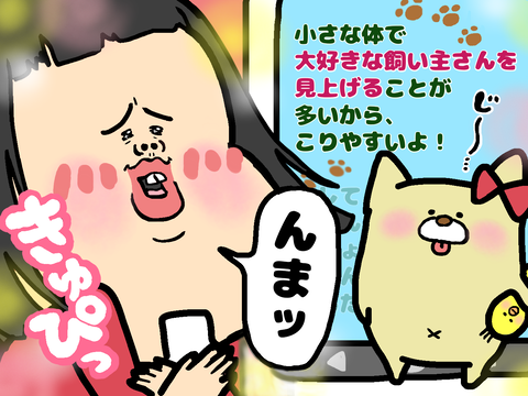 大好きな飼い主さんを見上げてるから肩凝る