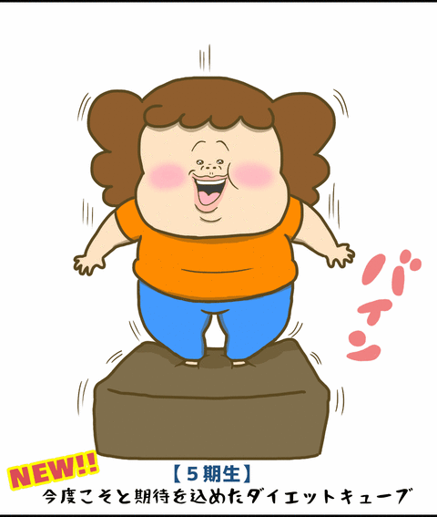 今度こそと期待を込めたダイエットキューブ