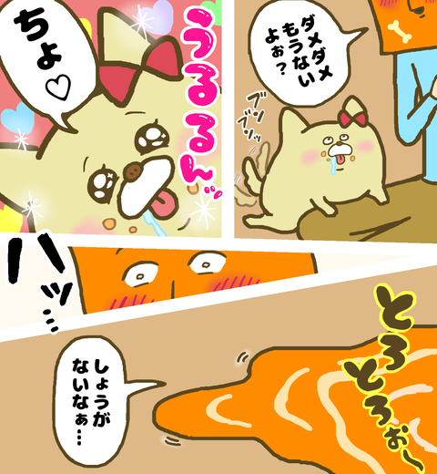 おねだり上手な愛犬
