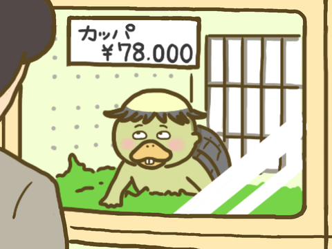 カッパの飼い方 をご存知ですか 車イスにゃにゃのにゃんのその絵日記