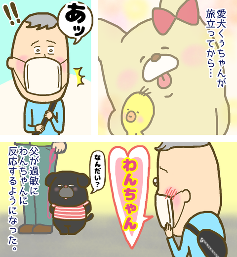 愛犬が旅立ち、過敏にわんちゃんに反応するようになった父