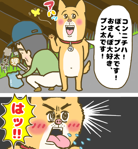 自己紹介をする近所の犬ブンちゃん