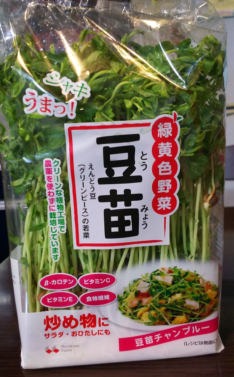 豆苗 とうみょう Zil5と黒猫の日本旅