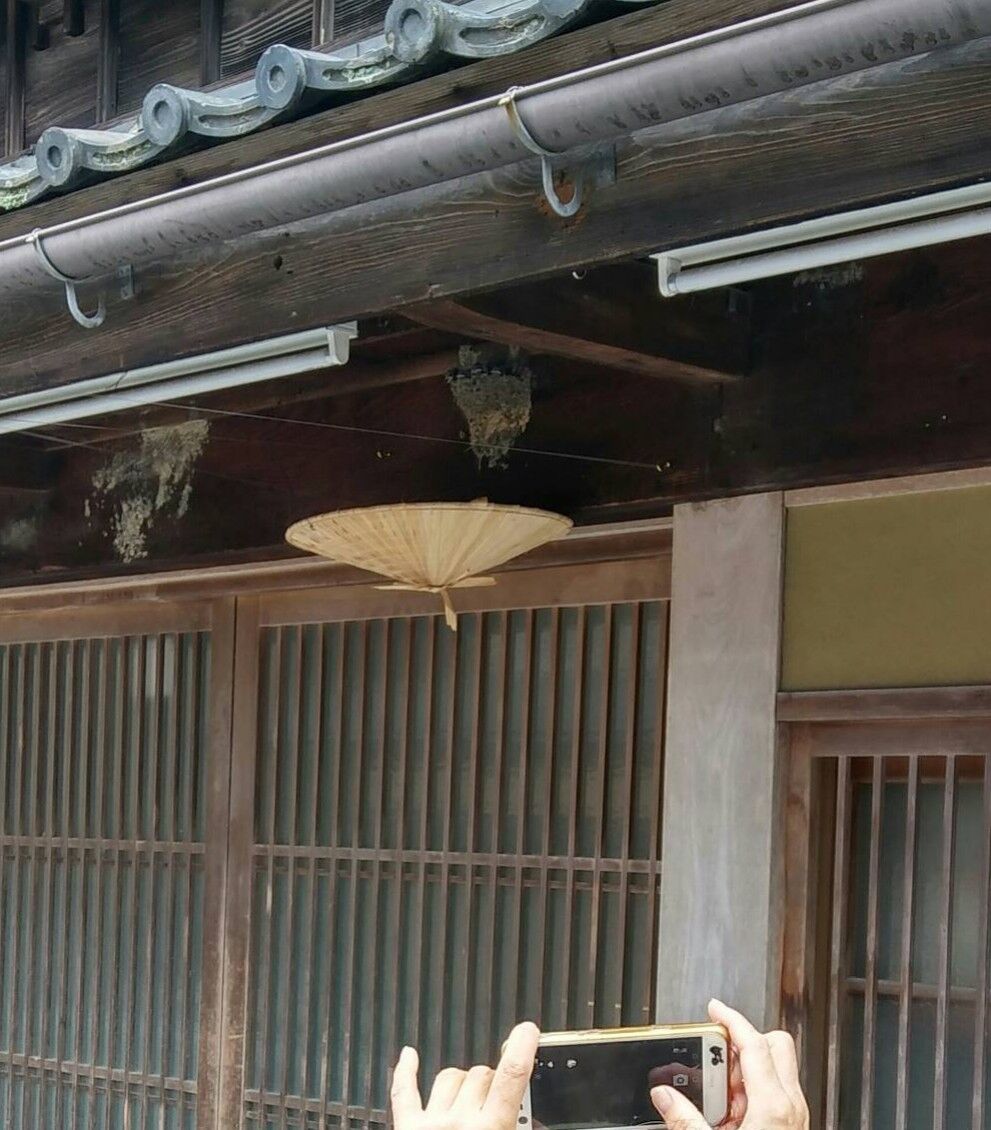 追憶 しめ縄飾り つばめ Zil5と黒猫の日本旅 追憶 しめ縄飾り つばめ Zil5と黒猫の日本旅