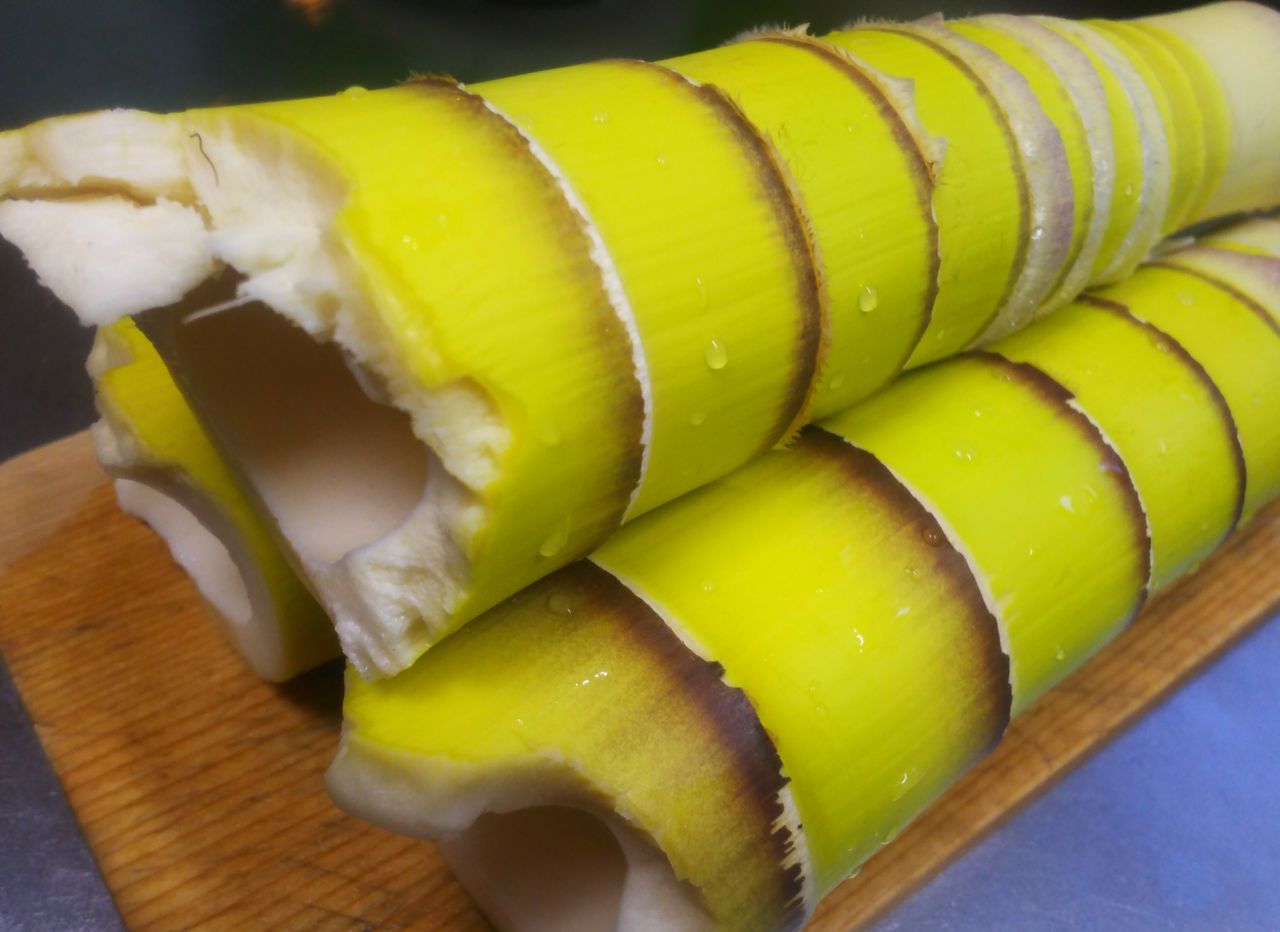 自家製メンマ シナチク Zil5と黒猫の日本旅