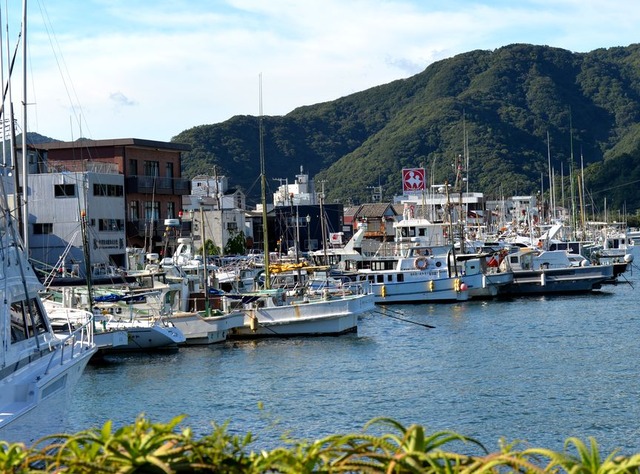 bb izu tabi 2021,7,20,21 056