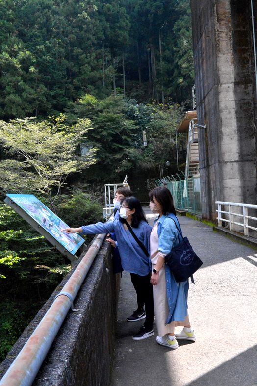 bb oume  hatonosu aruki 10,16 005