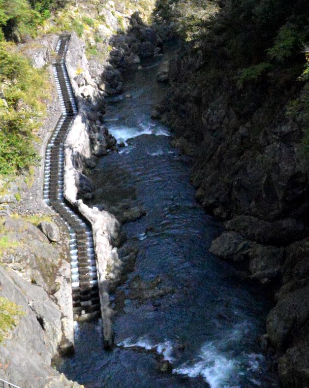 bb oume  hatonosu aruki 10,16 004