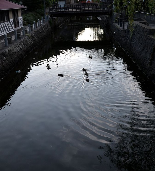 bb  izu tabi 2021,7,20,21 076