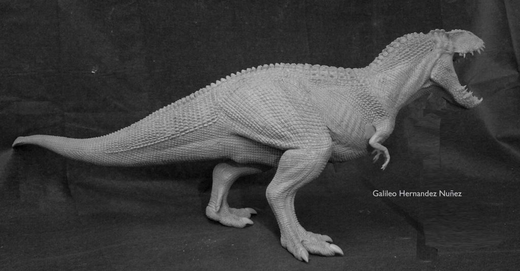 Gizmoの独り言 King Kong