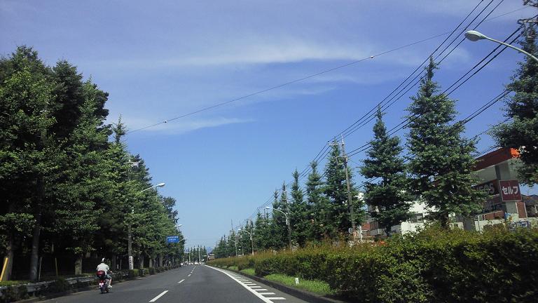 イメージ 1