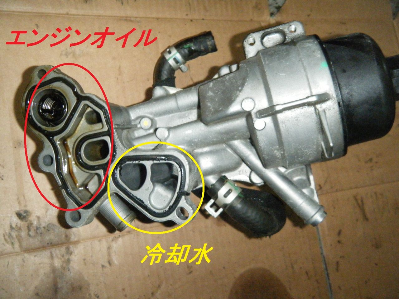 イメージ 8