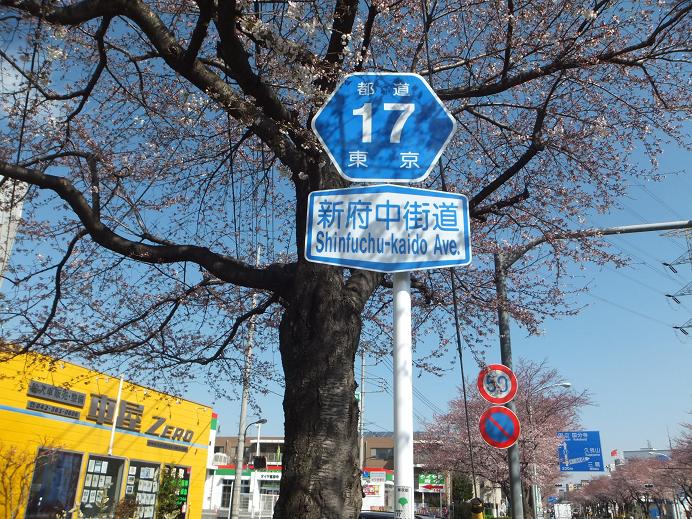 イメージ 3