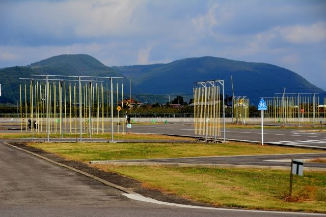 芸能 きゃりーも沢尻エリカも 運転免許試験に泣いた女性芸能人 クルマ好き速報