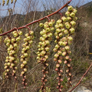 DSC07677-001