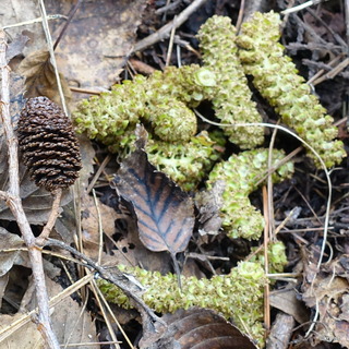 20190314_124335-001