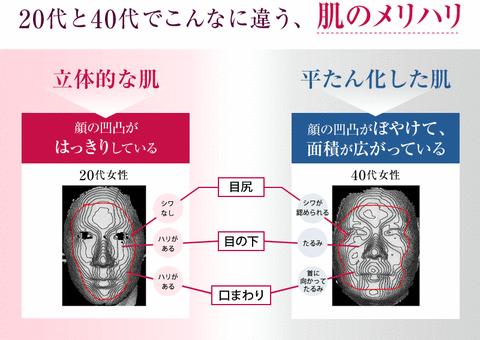 アテニア６