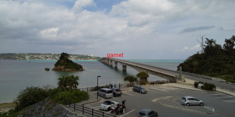 Photo Editor_DSC_0545