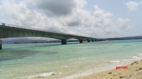 編集_IMGP2239