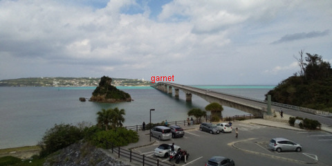 Photo Editor_DSC_0538