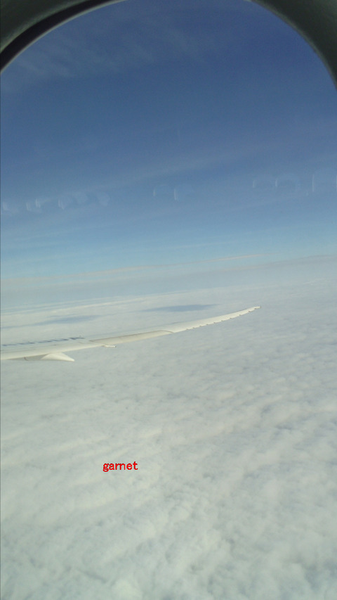 編集_IMGP2223